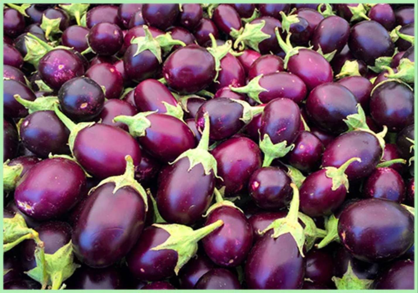 Green Brinjals